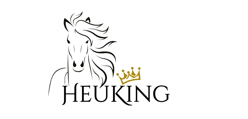 Heubedampfer kauft man bei der HeuKing ® GmbH